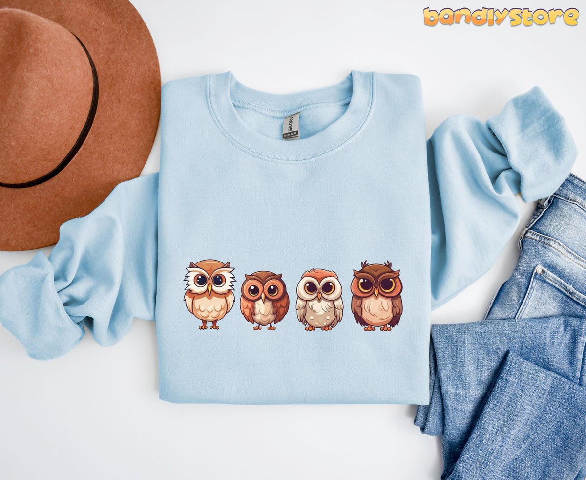 Cute Owl Sweatshirt in light blue folded flat from above beside brown hat and blue jeans.