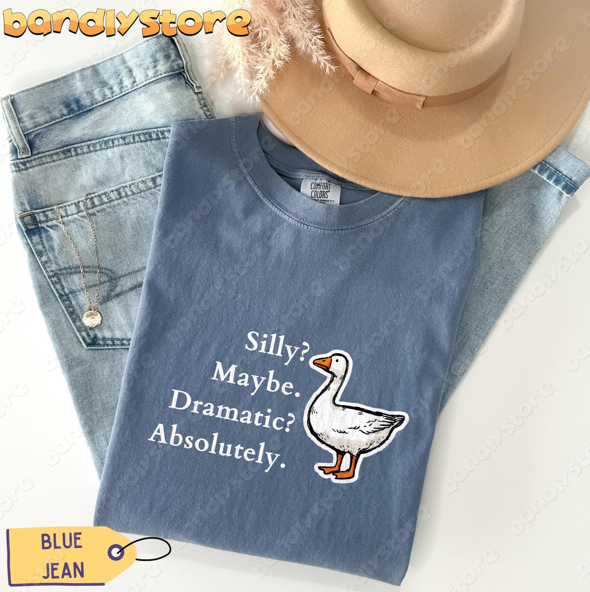 Silly Goose T-Shirt in Blue Jean laid flat beside jeans, a hat, necklace and dried plants.