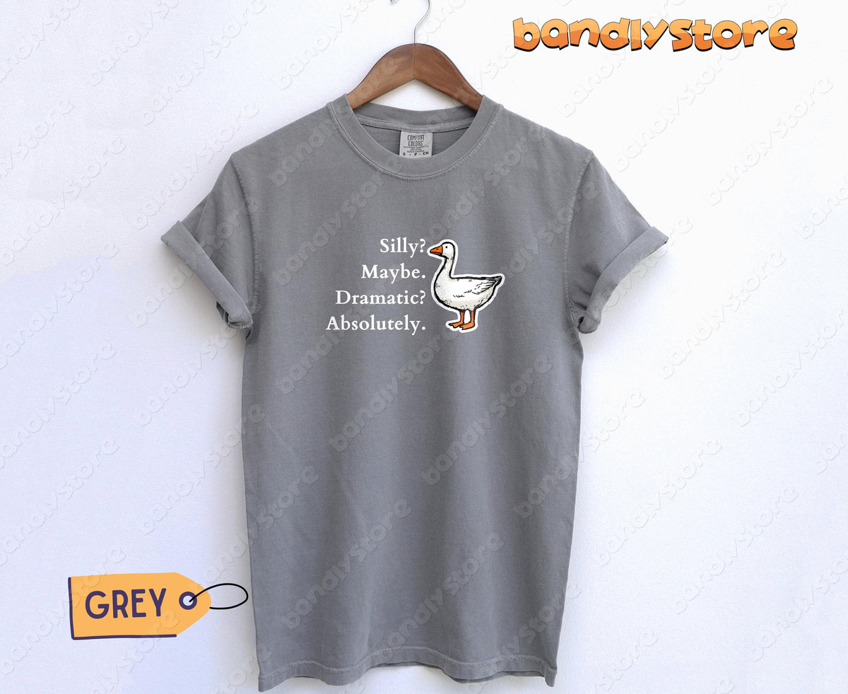 Silly Goose T-Shirt in grey hanging on a wooden hanger against a plain white wall.